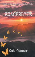 Exacerbyte