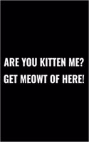 Are You Kitten Me? Get Meowt of Here!
