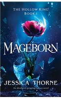 Mageborn: An absolutely gripping fantasy novel