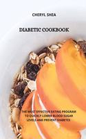 Diabetic Cookbook