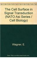 The Cell Surface in Signal Transduction