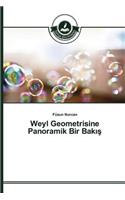 Weyl Geometrisine Panoramik Bir Bakış