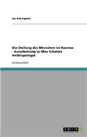 Die Stellung des Menschen im Kosmos - Ausarbeitung zu Max Schelers Anthropologie
