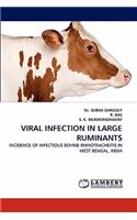 Viral Infection in Large Ruminants