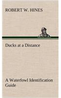 Ducks at a Distance A Waterfowl Identification Guide