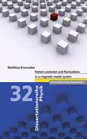 Pattern Evolution and Fluctuations in a Magnetic Model System
