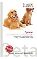 Spaniel: (English)
