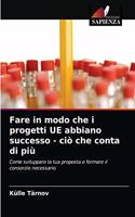 Fare in modo che i progetti UE abbiano successo - ciò che conta di più