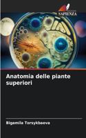 Anatomia delle piante superiori