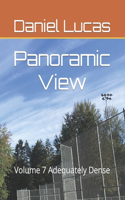 Panoramic View: Volume 7 Adequately Dense