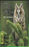 LITTEL OWLS calendar 2022