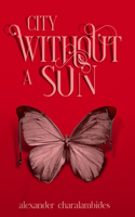 City Without A Sun