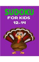 sudoku for kids 12-14