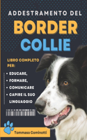 Addestramento Del BORDER COLLIE