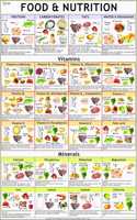 Food & Vitamin Chart ( 70 X 100 Cm ) - Laminated