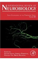 Tissue Engineering of the Peripheral Nerve