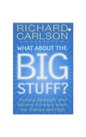 What About The Big Stuff?: Finding Strength and Moving Forward When the Stakes Are High