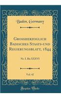 Großherzoglich Badisches Staats-und Regierungsblatt, 1844, Vol. 42: Nr. I. Bis XXXVI (Classic Reprint)