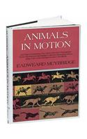 Animals in Motion