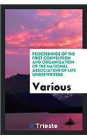 Proceedings of the First Convention and Organization of the National Association of Life Underwriters