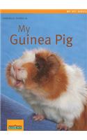 My Guinea Pig