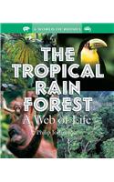 The Tropical Rain Forest