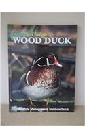 UNIQUE WOOD DUCK