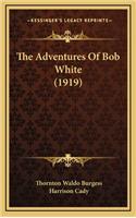 The Adventures of Bob White (1919)