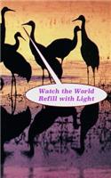 Watch the World Refill with Light