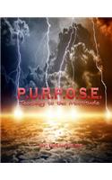 P.U.R.P.O.S.E. Teaching to the Multitude