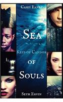 Sea of Souls
