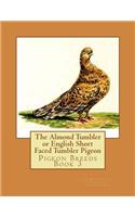 The Almond Tumbler or English Short Faced Tumbler Pigeon