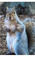 Squirrel Journal