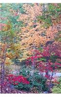 Journal Fall Trees Changed Colors: (Notebook, Diary, Blank Book)