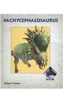 Pachycephalosaurus