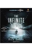 The Infinite Sea