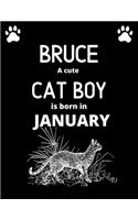 BRUCE cute cat boy is born in January