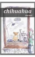 chihuahua carnet