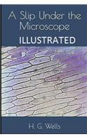 A Slip Under the Microscope Illustrated