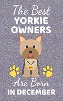 The Best Yorkie Owners Are Born In December