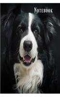 Notebook: Black and white border collie dog lined paperback jotter