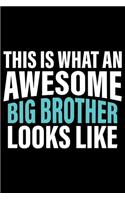 This Is What An Awesome Big Brother Looks Like