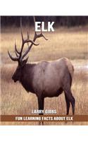 Fun Learning Facts about Elk