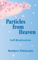 Particles from Heaven