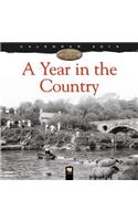A Year in the Country wall calendar 2019 (Art calendar)