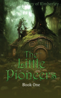 Little Pioneers