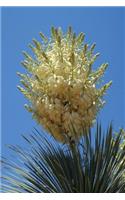 Beautiful Desert Yucca Bloom Journal: Take Notes, Write Down Memories in this 150 Page Lined Journal