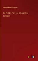 Tertiäre Flora von Schossnitz in Schlesien