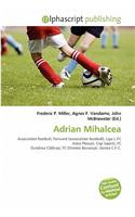 Adrian Mihalcea: (English)