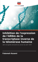 Inhibition de l'expression de l'ARNm de la transcriptase inverse de la télomérase humaine